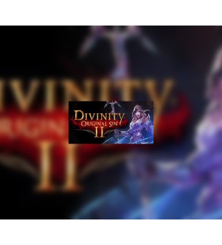 Divinity: Original Sin 2 GOG.com Key GLOBAL